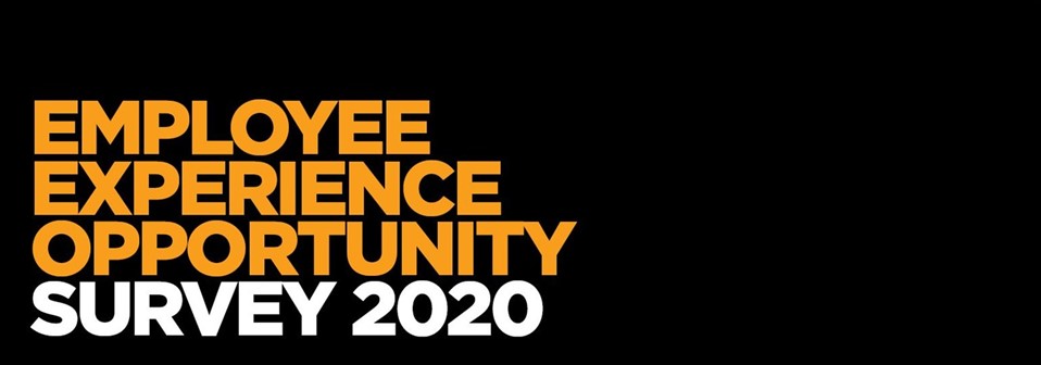 2020 Employee Experience Opportunity (EXO) survey