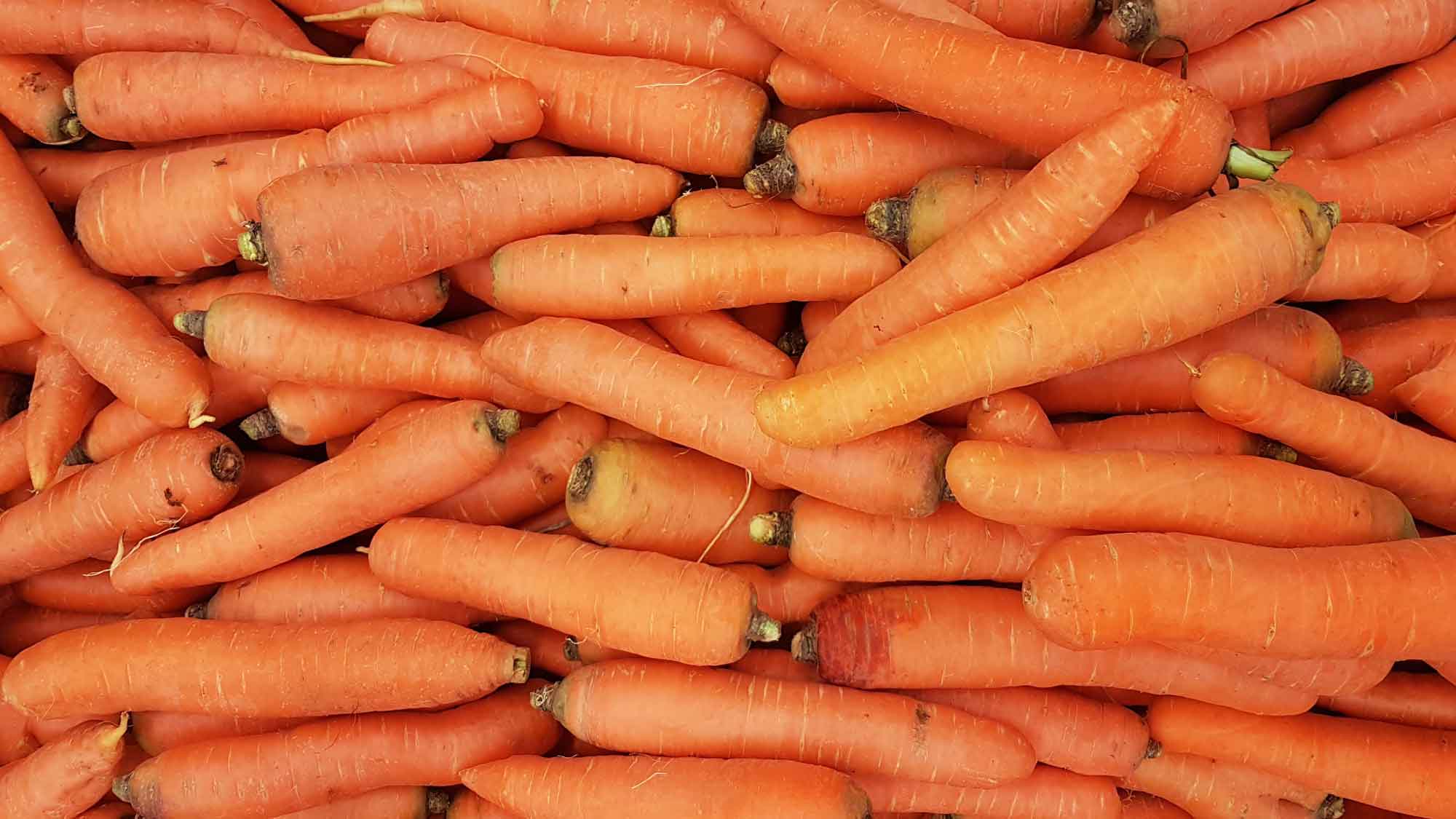 Personalising EX: Alternatives to the Carrot and Stick Approach